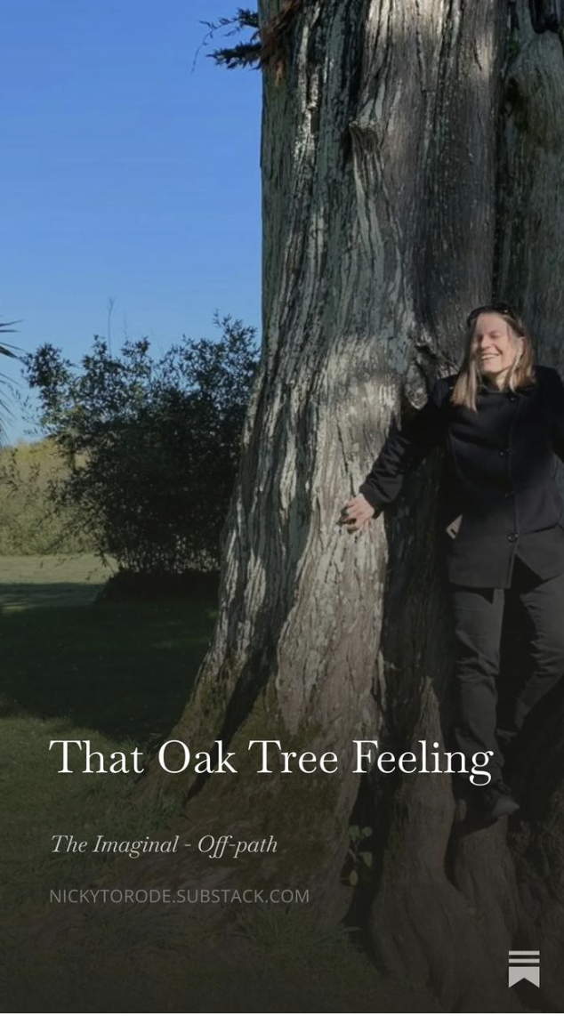 A woman leaning against a vast textured oak trunk under a blue sky