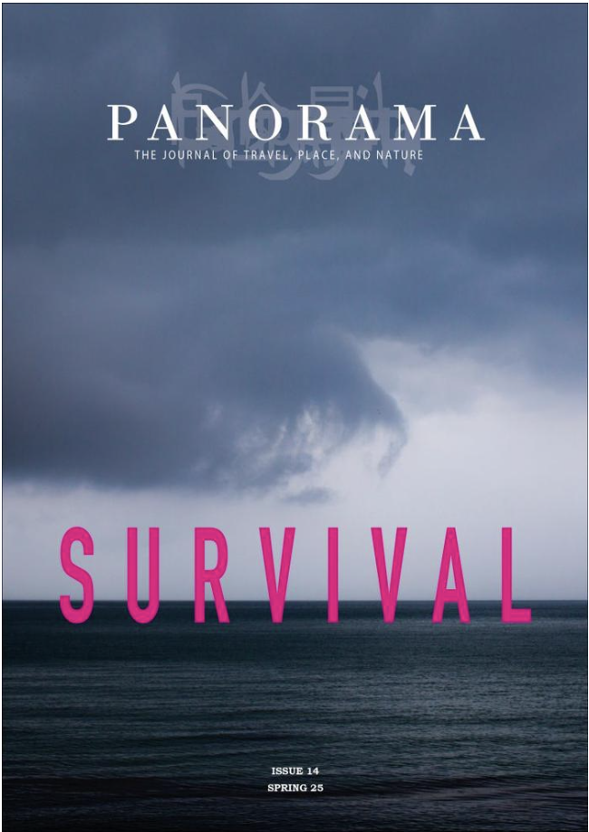 Panorama journal Survival issue cover